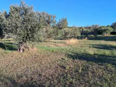 House 116 m², Šijana - quiet location and large yard - 8