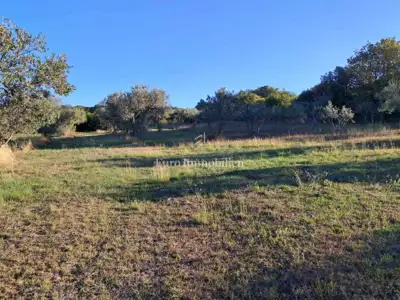 House 116 m², Šijana - quiet location and large yard - 10