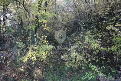 Baugrundstück 1.924 m², Labin - nahe Rabac - 6