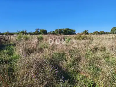 Land plot for sale in Pomer - 9