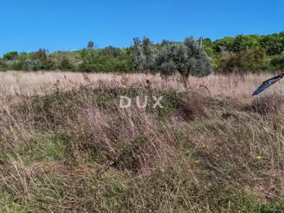 Land plot for sale in Pomer - 11