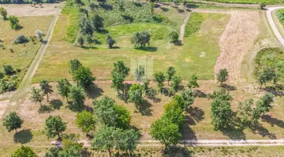 Building plot 4,923 m², Poreč - investment for holiday homes