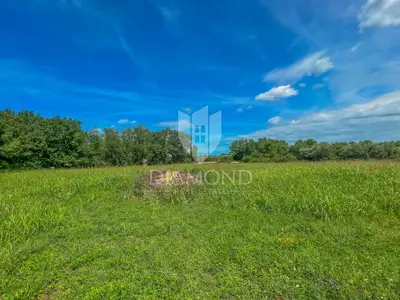 Baugrundstück 4.128 m², Novigrad Umgebung - Investition - 2