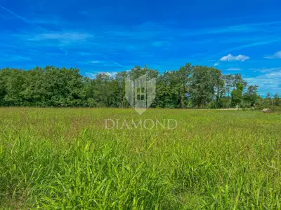 Baugrundstück 4.128 m², Novigrad Umgebung - Investition - 4