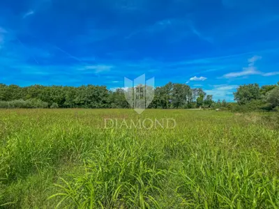 Baugrundstück 4.128 m², Novigrad Umgebung - Investition - 5