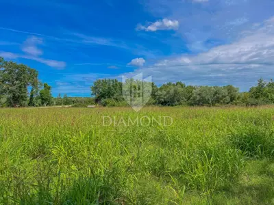 Baugrundstück 4.128 m², Novigrad Umgebung - Investition - 3