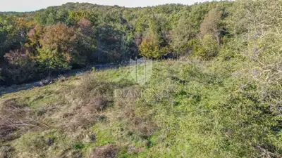 Building land, Štinjan - 12,646 m², investment potential - 3