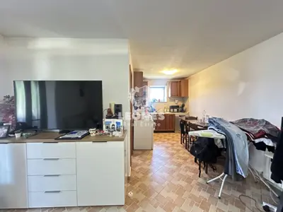 Detached house, Brtonigla, 220 m² and building plot yard 900 m² - 6