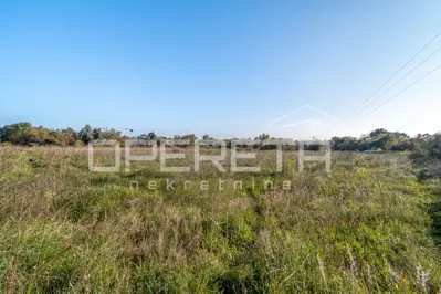 Poljoprivredno zemljište 12.824 m², Šišan - mirno okruženje - 3