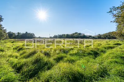 Poljoprivredno zemljište 12.824 m², Šišan - mirno okruženje - 2