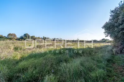 Poljoprivredno zemljište 12.824 m², Šišan - mirno okruženje - 5