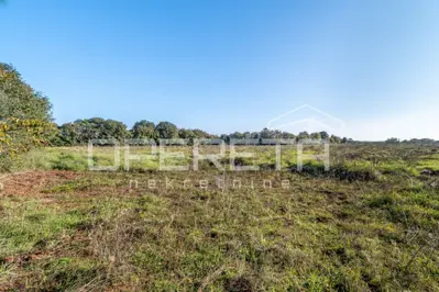 Poljoprivredno zemljište 12.824 m², Šišan - mirno okruženje - 4