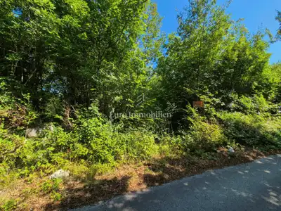 Agricultural land 3,400 m², Labin - quiet location - 3
