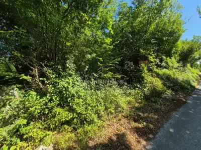 Agricultural land 3,400 m², Labin - quiet location - 2