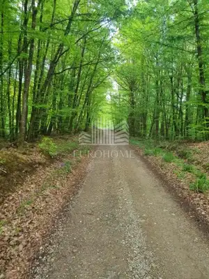 Haus 200 m², Pisarovina - Velika Jamnička, gepflegtes Anwesen - 16