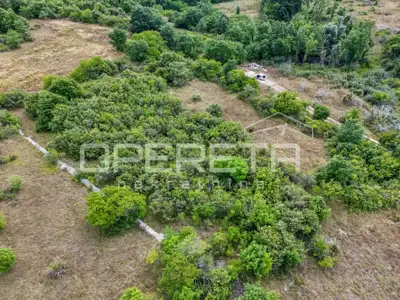 Poljoprivredno zemljište 3.884 m², Svetvinčenat, mirna okolina - 5