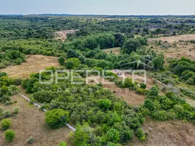 Poljoprivredno zemljište 3.884 m², Svetvinčenat, mirna okolina - 6