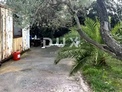 Maslinik, Punta Križa - 210 Bäume und 400 m vom Meer entfernt - 8