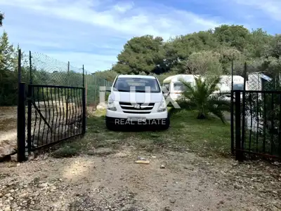 Maslinik, Punta Križa - 210 Bäume und 400 m vom Meer entfernt - 7