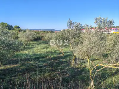 Baugrundstück, Zadar - Crvene kuće, 6.169 m² - 3