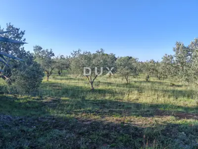 Baugrundstück, Zadar - Crvene kuće, 6.169 m²