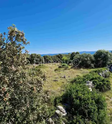 For Sale, Island of Vir, Gajine, Building Land, First Row to the Sea - 3