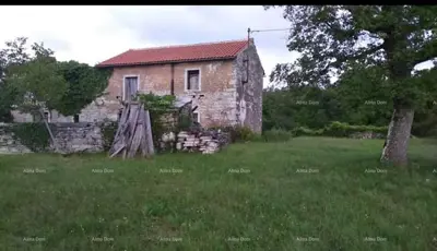 Kamena kuća 160 m², Oprtalj - zemljište 4 500 m²
