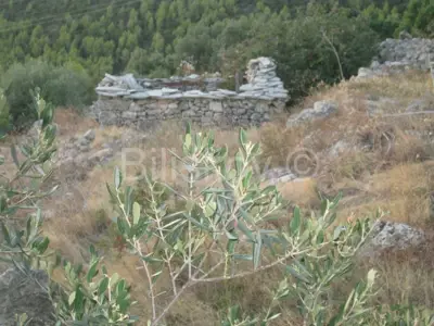 Čara, landwirtschaftlich genutzter Boden - 6