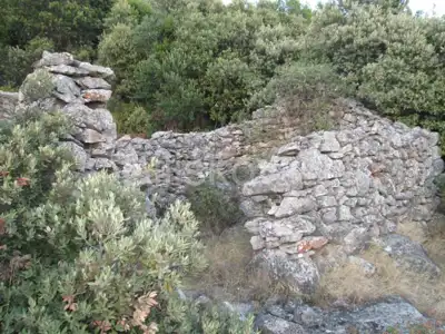 Čara, landwirtschaftlich genutzter Boden - 4