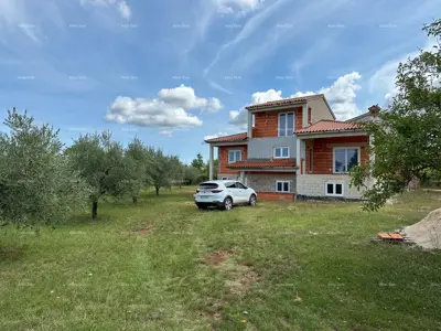 House in Vodnjan, large yard under olive trees - 4