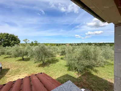 House in Vodnjan, large yard under olive trees - 6