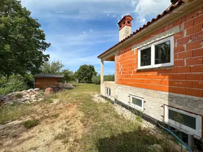 House in Vodnjan, large yard under olive trees - 9