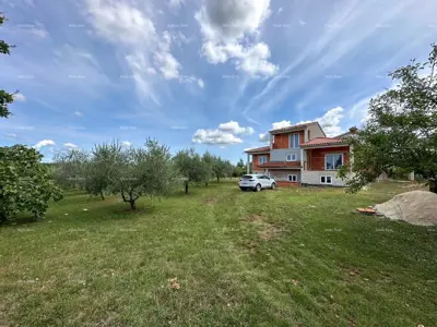 House in Vodnjan, large yard under olive trees - 3