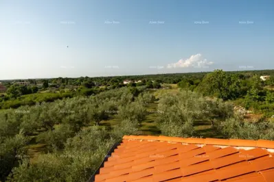 House in Vodnjan, large yard under olive trees - 22