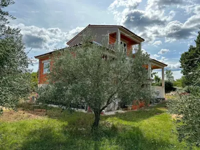 House in Vodnjan, large yard under olive trees - 5