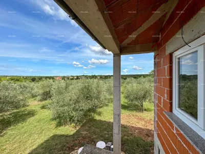 House in Vodnjan, large yard under olive trees - 7