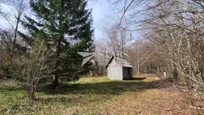 Wooden house 130 m², Lič - quiet micro-location - 17