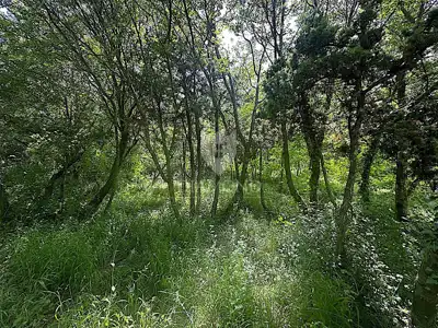 Building plot 1,234 m², Labin - quiet location - 17