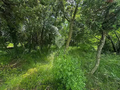 Building plot 1,234 m², Labin - quiet location - 14
