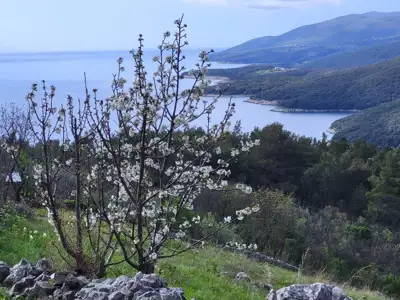 Grundstück zum Kauf in Rabac
