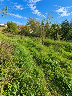 Building plot, Vintijan - by the road and infrastructure - 2