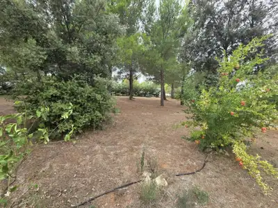 Land plot for sale in Ližnjan - 5