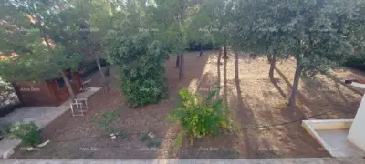 Land plot for sale in Ližnjan - 2