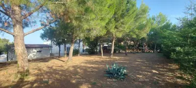 Land plot for sale in Ližnjan - 3