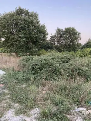 Građevinsko zemljište 634 m², Medulin, 1,3 km do mora - 5