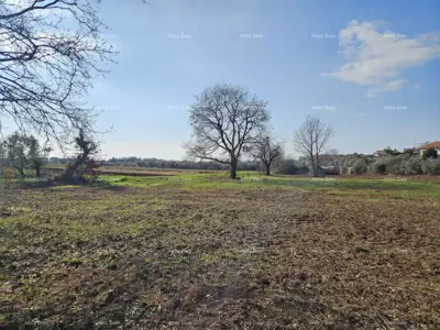 Rezervirano! ! ! Prodaja građevinskog zemljišta s pogledom na more, Novigrad!