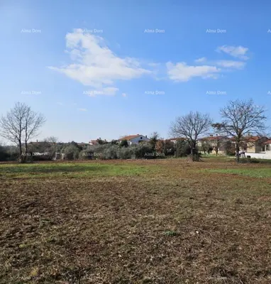 Building land 649 m², Novigrad, sea view and olive grove - 4