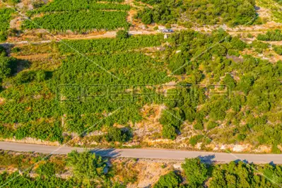 Landwirtschaftsfläche 12 257 m², Potomje, Pelješac - Weinberg - 7
