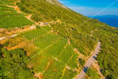 Landwirtschaftsfläche 12 257 m², Potomje, Pelješac - Weinberg - 11