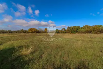 Building plot 2,279 m², Svetvinčenat - flat and access road - 4